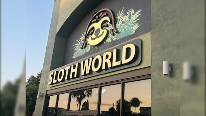 Florida looking into criminal investigation for Orlando Sloth World deaths — ClickOrlando Local, Winter Park Health news